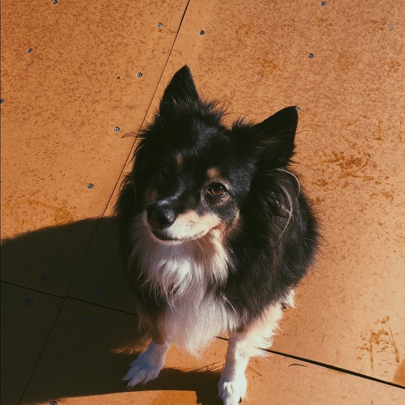 Meet your seller! - Picture 4 of 8